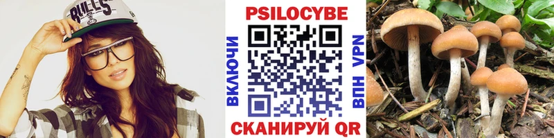 наркота  Дигора  KRAKEN   Псилоцибиновые грибы Cubensis 